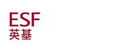 Discovery College Logo